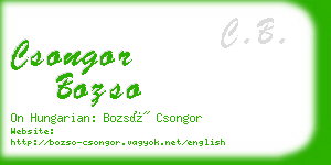 csongor bozso business card